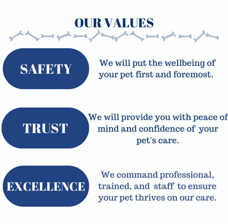 Our Values