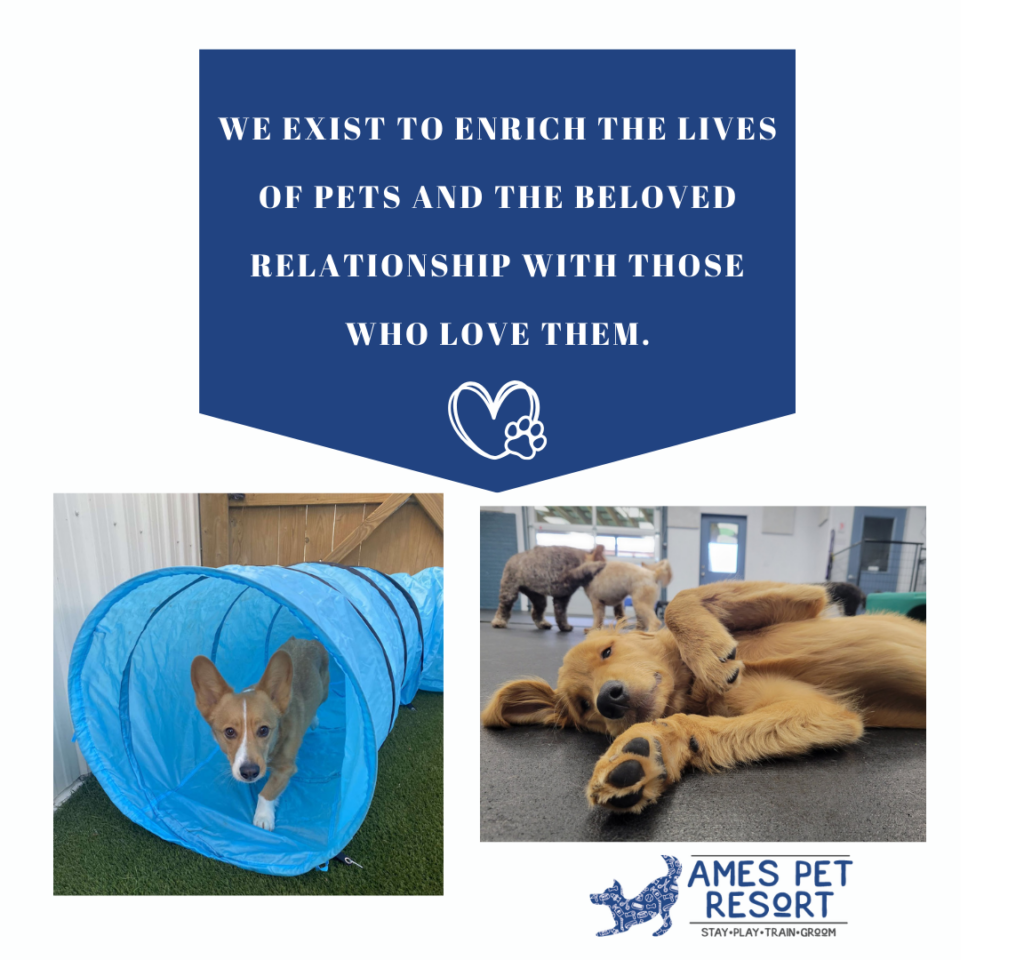 About Ames Pet Resort Ames, IA Pet Boarding